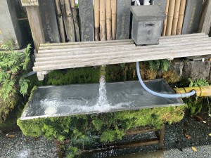 IMG_1380