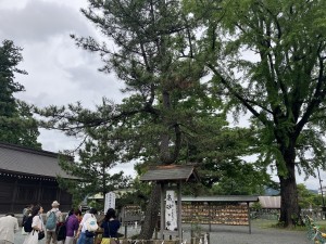 IMG_1384