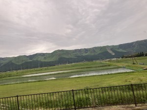 IMG_1390