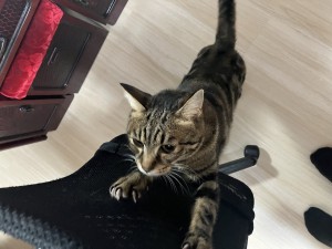IMG_1375