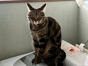 IMG_2684