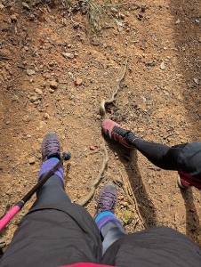 PXL_20251103_012843615.MP