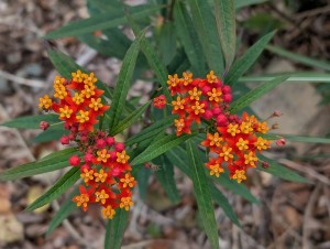 PXL_20251103_014518648.PORTRAIT