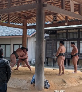 PXL_20251104_003846501 (1)