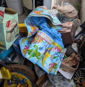 PXL_20251124_035724119