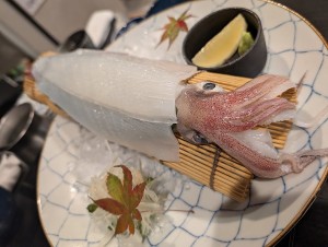 PXL_20251222_090918361