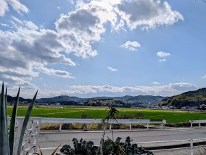 PXL_20260222_051809395.MP~2