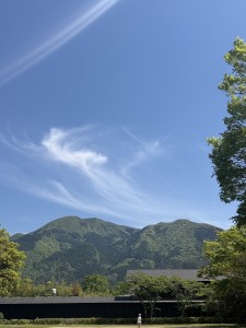 5FECDC98-5993-4F5D-A14E-647343F31552