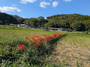 PXL_20260921_063622219