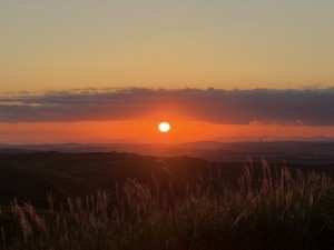 S__151453748_0