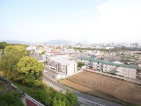 眺め