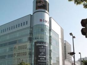 Bivi